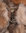 Pelskrage THÜRINGER, stålgrå/brun kaninpels