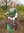 EVA COTEHARDIE,middelalderkjolen, grønn