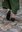 RIKE, medeltida damskor, nubuk svart - gummisula
