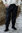 ARVO - linningsbukse, elastisk snøring, svart
