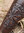 VEGVISIR - armmanschet af læder brun, præget