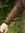 EIK - vikinga armskenor, brun