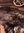 Nordlandschnucken päls, brun - grå, ca. 110 cm