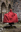 GUNNAR - bomuldskappe med rund hætte, rød