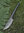 Smedet kniv med læderhåndtag, ca. 21 cm