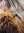 Skulderkrave - Nordlandssneglepels - rustbrun
