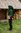 HENRI- Middelalder strudshue - grøn uldmix